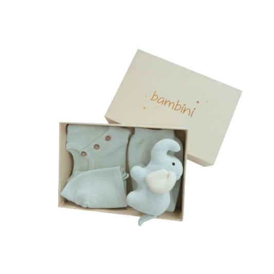 Cuddly Bunny Baby Blue  Gift Set